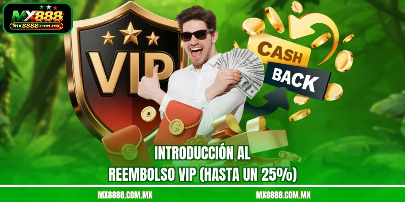 Introducción al reembolso VIP (hasta un 25%)
